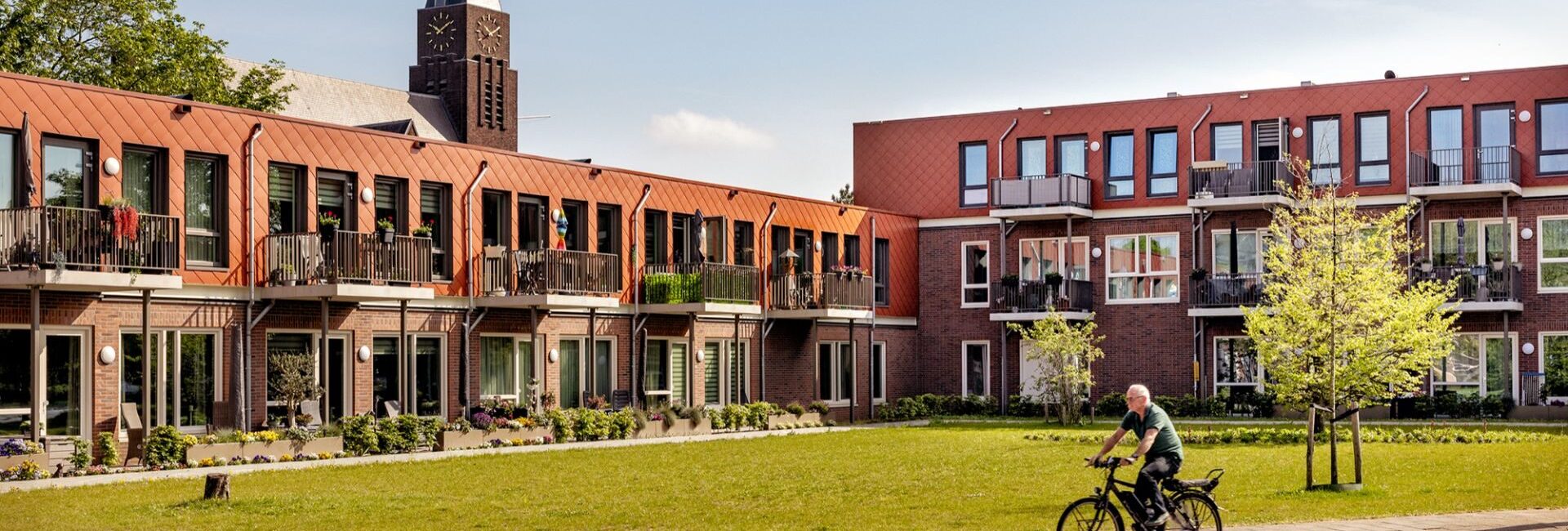 Website afbeeldingen mnl